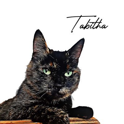 tabzthecatt Profile Picture