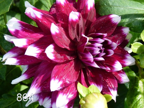 eise57's profile picture. 