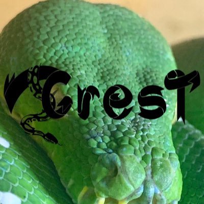 ReptileCrest's profile picture. 爬虫類の販売と餌の販売をはじめました。冷凍餌は発送可能ですので遠慮なく御用命ください。 生体は中継販売可能なので遠慮なくお問い合わせ下さい！福島県元郡保販売第363号 来店は事前にDM等でご予約ください。 ＠AKCrest TEL:08031446119 尚、当店の場所についてはGoogleマップで確認お願いいたします