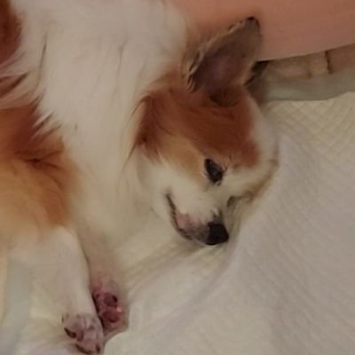 1iG17qrrtwKcN2I's profile picture. 私にとって、Xは読み物。
そして、その時々に考えたことの記録。
人との繋がりを窮屈に感じる方なのでフォローは適当。
認証垢以外、基本あまりフォローしていません。
一々気にしないので、無言フォローもフォローを外すのもご自由に。
趣味はドラマ。１人でぼーっとしたり考えごとしてる時間が一番好き💓