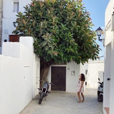 mariajo_cp's profile picture. Development 👩🏻‍💻 and GIS 🌍