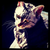 Annemarie_Braun (@annemarie_braun) Twitter profile photo