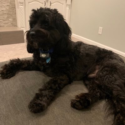 fenechm's profile picture. Nah...