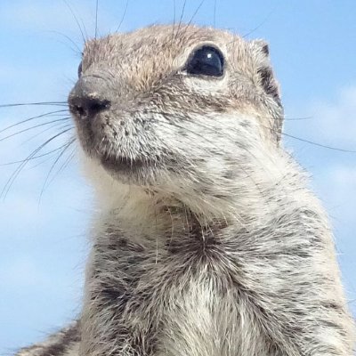 user99672's profile picture. wanted to tweet something nasty to an idiot politician. returned to twitter. yay?