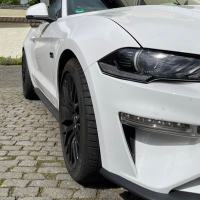 Schnel9Wolfgang's profile picture. 