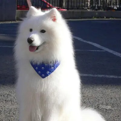 AndroidKC's profile picture. Hello, world!