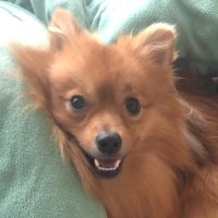 morimori (@mori_c20) 's Twitter Profile