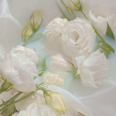 bJrddmEPnAzufl9's profile picture. 