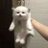 あってぃーだよ。のアイコン