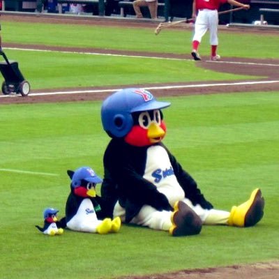 🎶相互フォロー🎶フォロー大歓迎🎶フォロバ💯スワローズ大好きです⚾️スワローズファンの方⚾️野球好きな方と繋がりたいです。よろしくお願いします☺️