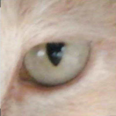 CindyqConde1's profile picture. 