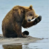 Grizzly Fugg (@fuggsville) 's Twitter Profile