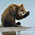 Grizzly Fugg (@fuggsville) Twitter profile photo Grizzly Fugg (@fuggsville) Twitter profile photo