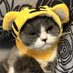 i love videogaming. (@cookiesupplier9) Twitter profile photo i love videogaming. (@cookiesupplier9) Twitter profile photo