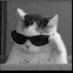 ChillyCornet 79 (@chillycornet7) Twitter profile photo ChillyCornet 79 (@chillycornet7) Twitter profile photo