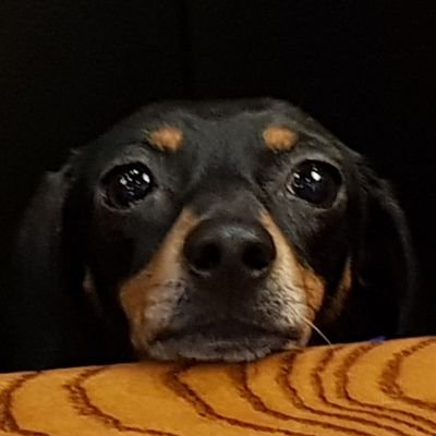 anmariereyes's profile picture. 