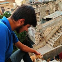 Abdelhadi Debis (@abdelhadidebis) 's Twitter Profile