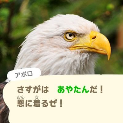 あやか🦅ゲーム垢さんのプロフィール画像