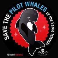 Andrew Ⓥ (⧖) 🌱🦊 🐋 🦡 🐅 🐝 (@maritimegeek) 's Twitter Profile Photo Andrew Ⓥ (⧖) 🌱🦊 🐋 🦡 🐅 🐝 (@maritimegeek) 's Twitter Profile Photo