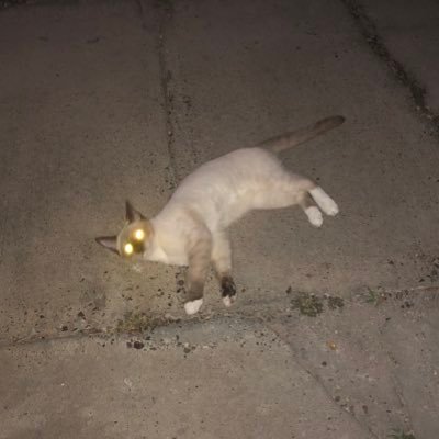 HaileyB21304976's profile picture. 