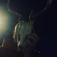 J.Lynch/30lbs of Bone(@30lbsofbone) 's Twitter Profile Photo