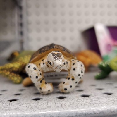 OpenAcc2's profile picture. 