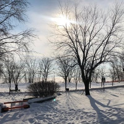 YvesPapa1's profile picture. 