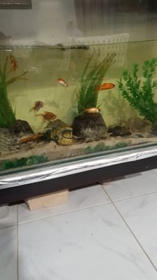 Pavithransange3's profile picture. Sangeeth