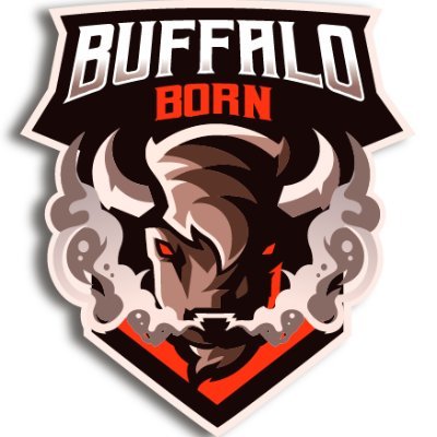 BuffaloBornTV Profile Picture