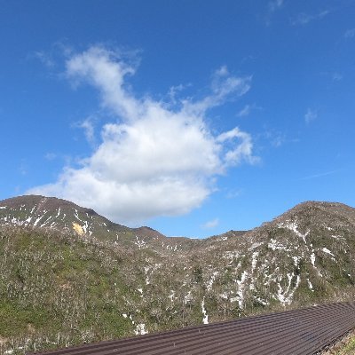 negapo100's profile picture. 生粋のネガティブ男|35歳|日本に帰還
これからポジティブになります | 
ポジティブになれる言葉ととも発信 | 
一緒にポジティブになりましょう！