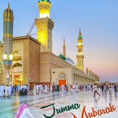 HassanO81863795's profile picture. 