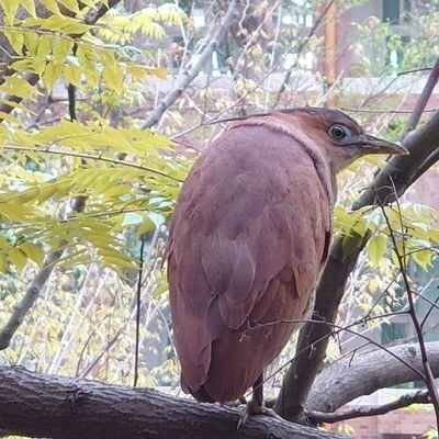 深渊を远く见つめてる时、
深渊もあなたを见つめている。