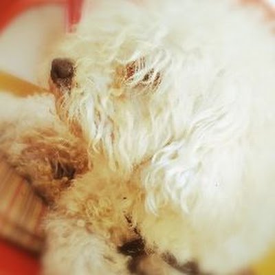 EsPaulx885's profile picture. 