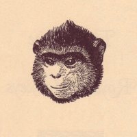 Nod (@nizzaneela) 's Twitter Profile Photo Nod (@nizzaneela) 's Twitter Profile Photo