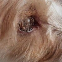 Marie πΆπ±πΎππΆπ¨π΅ (@mariema12094562) 's Twitter Profile