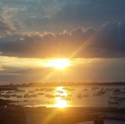 TanLuched's profile picture. Ingé et dev. Anime, jeux, science, films, séries, livres...