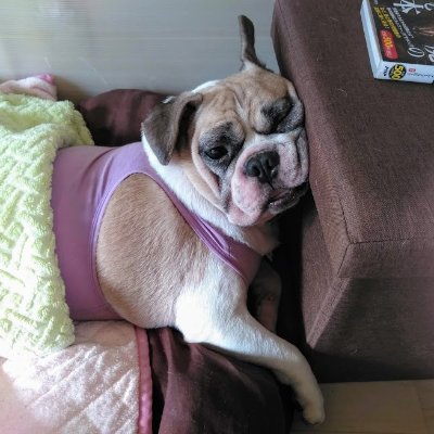 hiyubuhiZ's profile picture. 伊豆の国市出身（血筋は父系・母系共にガチ源氏系・物部氏系）な武術・剣道・音楽・芸術・映画・書籍好きな仙人ですw
