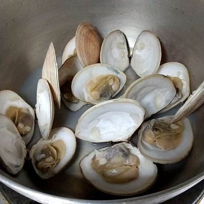 xBeD8w0lZx64XxH's profile picture. 競馬、競輪、パチンコ、大好きだけど。全てヘタクソ、😖