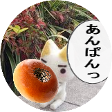 コトさんのプロフィール画像