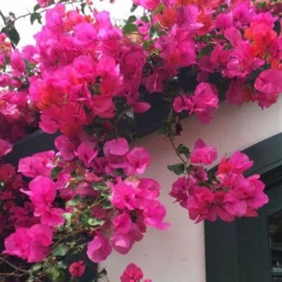 iDu3aa95's profile picture. اللّهم اجعلنا من ورثت جنة النعيم🧡                               رابط منبه الصلاه  على النبي  صلّى الله عليه وسلم 🧡🪴