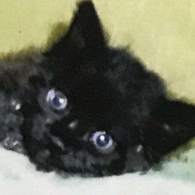 xb7ja's profile picture. 20⤴︎︎