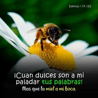 Soy cristiana, abogada, oremos por el mundo.