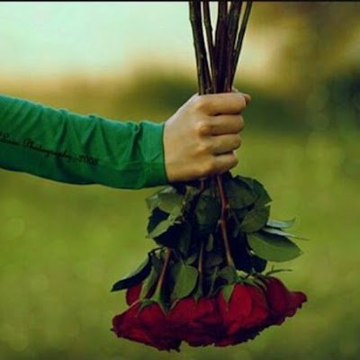 bdor95182's profile picture. 