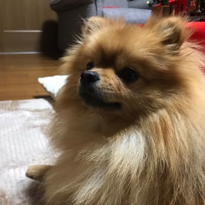 ayaheee2424's profile picture. 