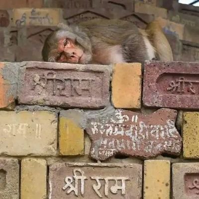 twingaling26's profile picture. 