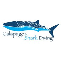 Galapagos Shark Diving(@Galapagossharks) 's Twitter Profile Photo