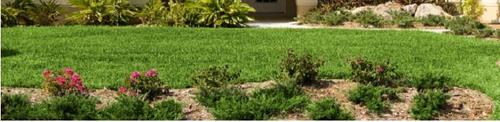 Grasshoppers Inc has been serving Spartanburg, Gaffney, Greenville, and surrounding towns for more than 20 years.