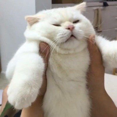 LaBelle_de_Buay's profile picture. 