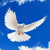 HAPPY NEW YEAR (@anwaralhud) Twitter profile photo