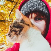 Fox (@the_godless_fox) 's Twitter Profile